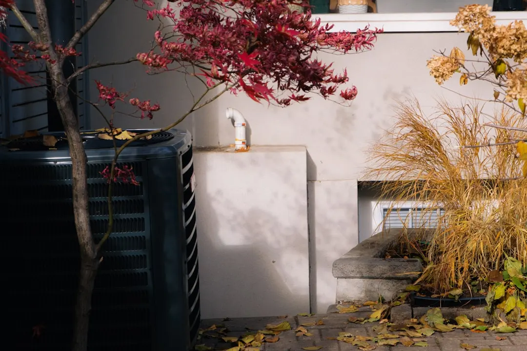 Standby generator maintenance in a Vancouver home